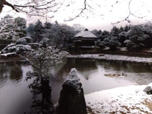 初雪